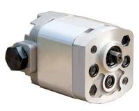 Bidirectional Series Gear Pump 