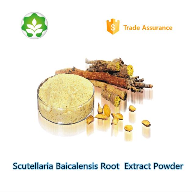 best choice acne treatment scutellaria baicalensis root extract powder