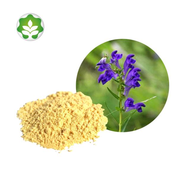 best selling scutellaria baicalensis plant powder skullcap extract