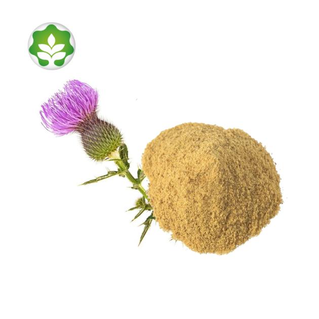 blessed milk thistle concentrated extract silymarin powder for energy drinks