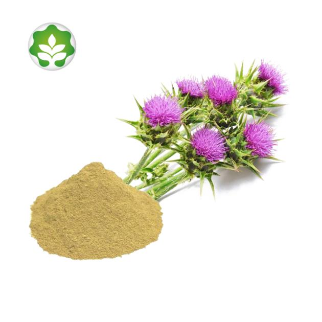 blessed milk thistle herb extract powder bodybuilding supplements