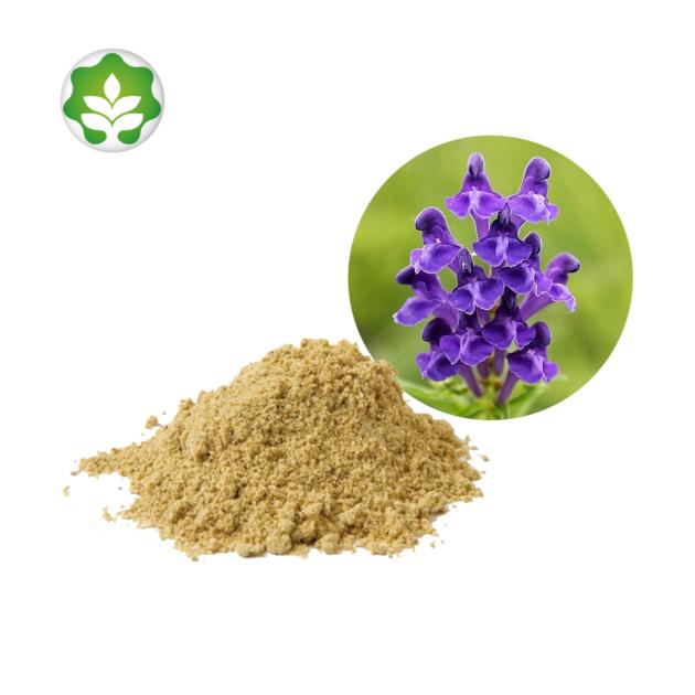 chinese skullcap herb extract powder for whitening skin