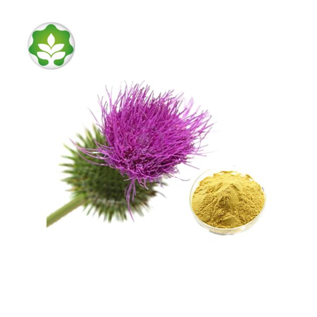 dried milk thistle seeds extract powder liver support in energy drinks