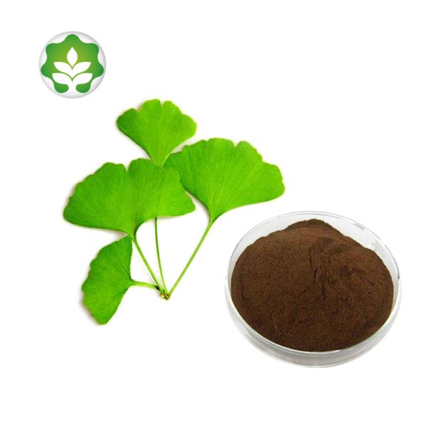 Life Extension Ginkgo Biloba Extract Powder