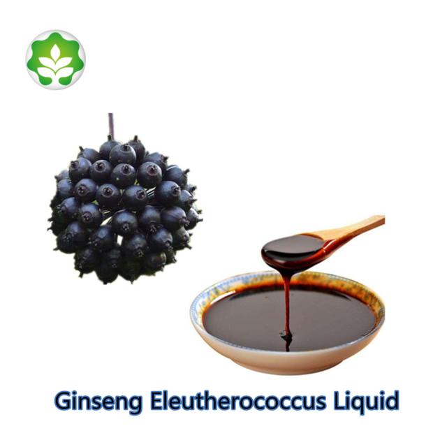 health benefits ginseng eleutherococcus liquid natural remedies