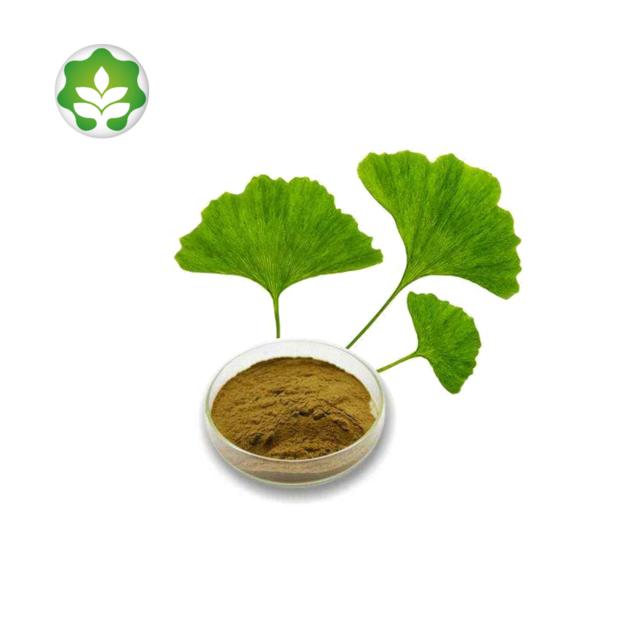 life extension ginkgo biloba extract powder healthcare products