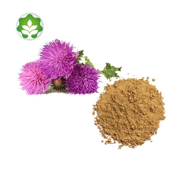 milk thistle seed extract manufacturers anti aging powder
