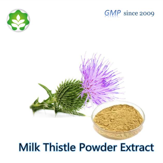 milk thistle seeds powder extract p.e