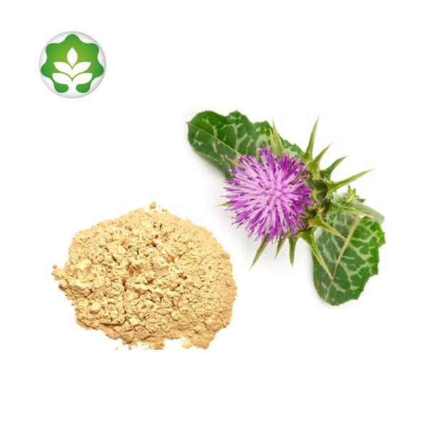 organic milk thistle extract powder for feeding