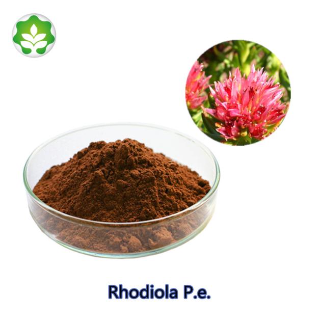 promoting mental status rhodiola p.e. with best service