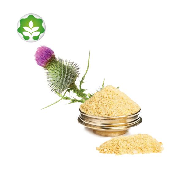 wholesale milk thistle silymarin marian powder for live cancer