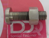 Nimonic 80A screws