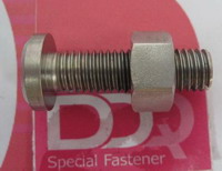 Nimonic 80A screws