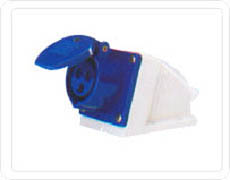 RS113L, RS123L  plug