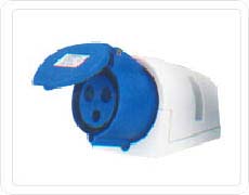 RS123K  plug