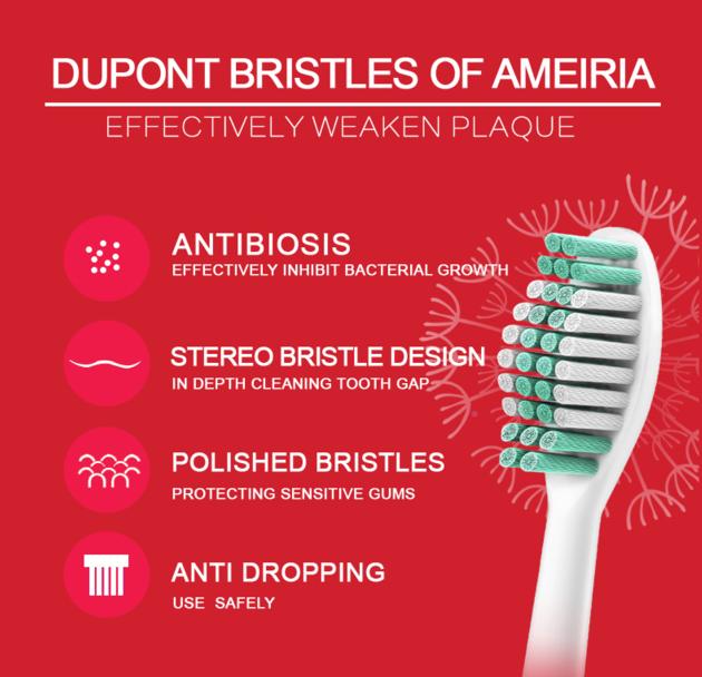 Xweiter XT2 Electric Toothbrush