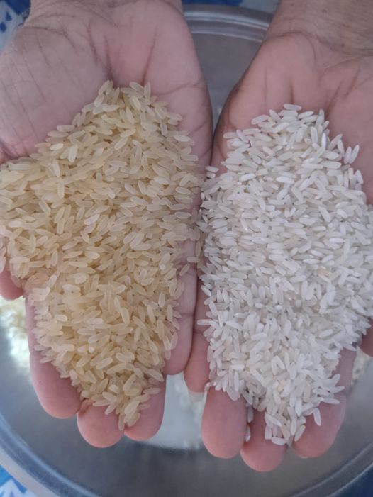 Irri 6 White Amp Parboiled Rice