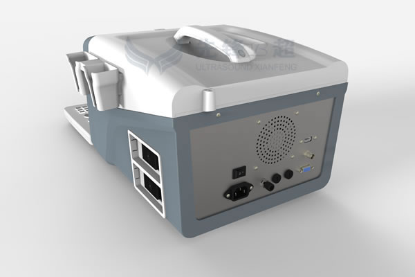 B Amp W Portable Ultrasound Scanner