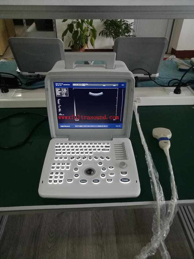 B Amp W Portable Ultrasound Scanner