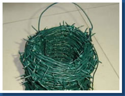 Barbed Wire