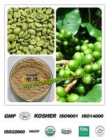 100% Pure Green Coffee Bean Extract,Pure Chlorogenic Acid