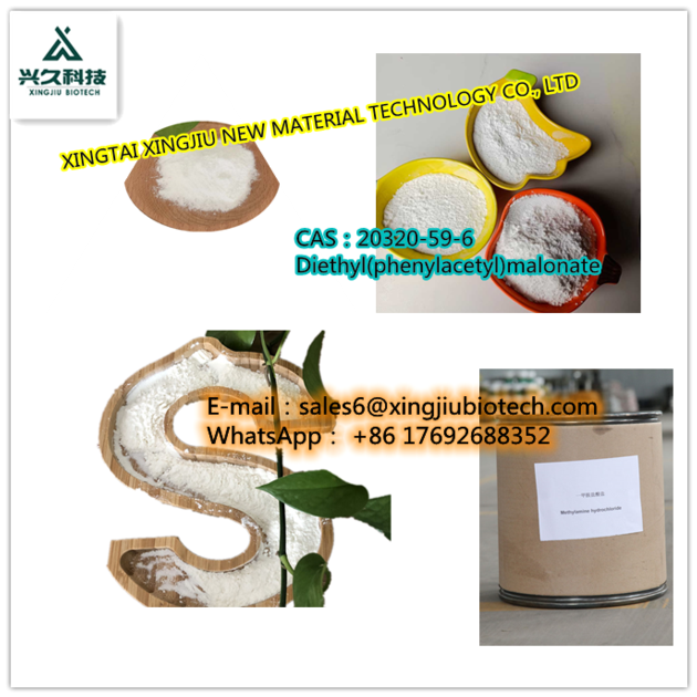 BMK Powder BMK Oil CAS 20320-59-6 