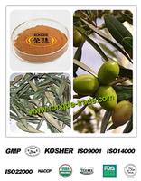 100% Natural Olive Leaf Extract 10%-50% Oleuropein 98% Hydroxytyrosol 