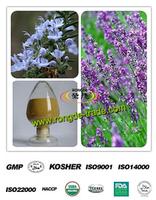100% Natural Rosemary Extract/Rosmarinic Acid/Rosmarinus Officinalis Extract