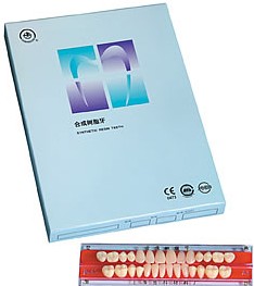 The Synthtic resin teeth