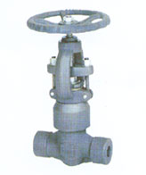 Globe valve