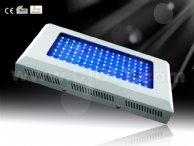 led grow light