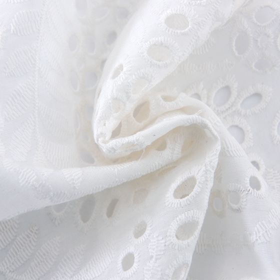Swiss Cotton Embroidered Mesh Embroidery African