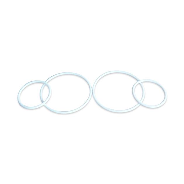 PTFE Ring