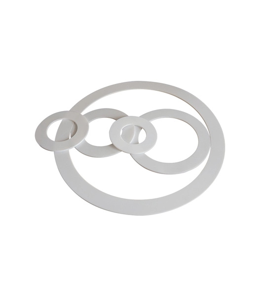 PTFE Gasket