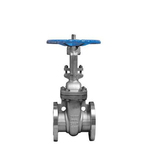 DIN PN 16 stainless steel flanged gate valve