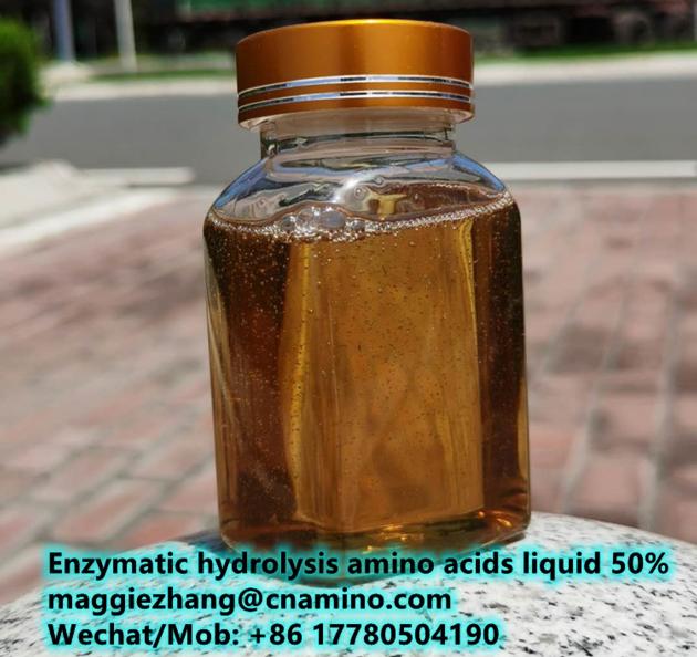 Enzymatic Hydrolysis Soybean Source Amino Acids