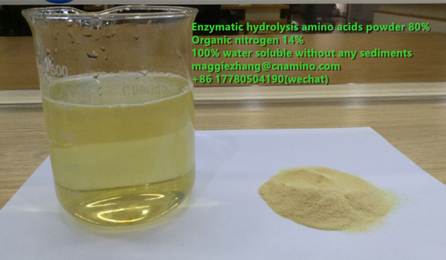 Enzymatic hydrolysis soybean source  amino acids powder 80% with organic nitrogen 14%