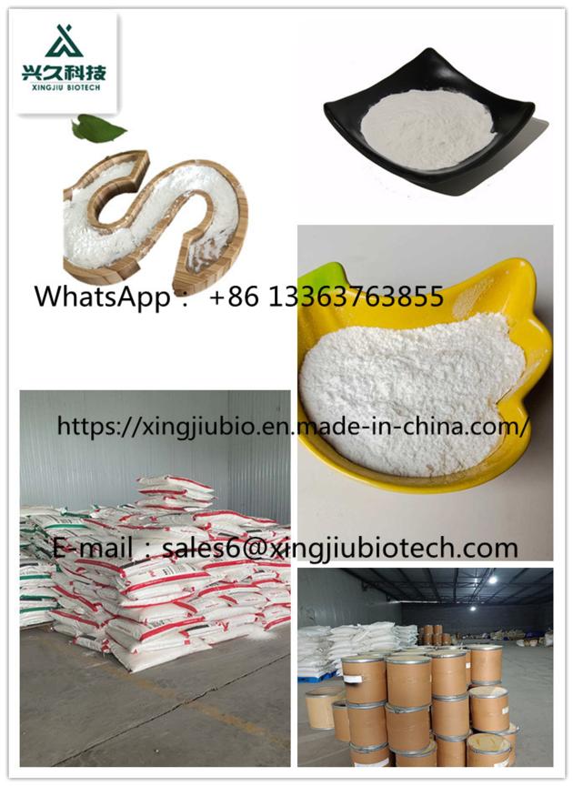 White Powder Procaine Base CAS 59-46-1 Procaine From Factory in Stocks