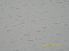 PVC decorated gypsum board