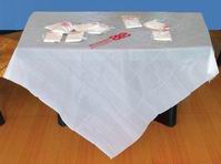 Table Cloth XA103