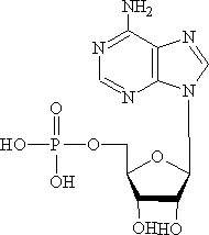 calcium inosinate