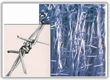 Barbed Wire