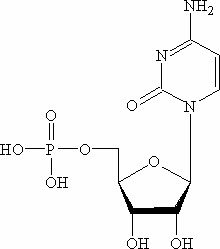 calcium 5-ribonucleotides