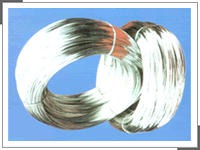 Galvanized Steel Wire