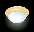 ceiling mounts