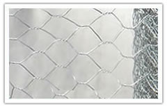 Hexagonal wire netting