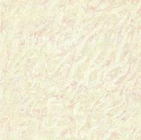 Long-Term Sale Polished Floor Tiles 50x50 60x60 80x80