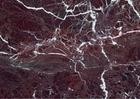 Sell Zi luo red marbles