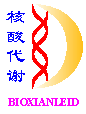 deoxynucleotide