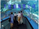 Large aquarium, Sea aquarium,Ocean park
